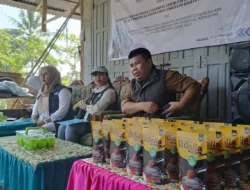 Universitas Wallacea Dorong Produktivitas Petani Gula Aren di Mamuju
