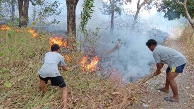 Belasan Hektar Lahan di Pulau Battoa Terbakar