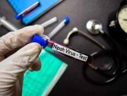 Waspadai Penyebab dan Gejala Virus Nipah
