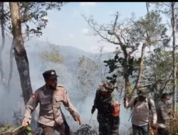 BPBD Situbondo Catat Karhutla di Lereng Gunung Argopuro Sekitar 10 Hektare