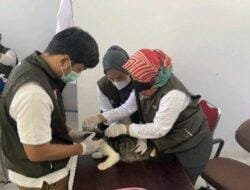 Hari Rabies Sedunia, 1.881 Ekor Hewan Divaksinasi di Sulbar