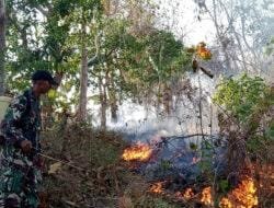 Empat Hektare Lahan di Paku Terbakar, Babinsa-Bhabinkamtibmas Sinergi Pemadaman Kahutla
