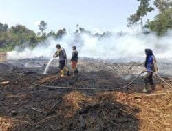 Selama Januari-September 2023, Polda Riau Tangkap 34 Pelaku Karhutla