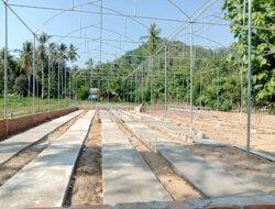 Proyek Green House, Rekanan Dua Kali Diberi Tambahan Waktu