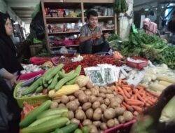 Harga Cabai di Majene Tembus Rp 65 Ribu Per Kilogram