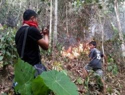 70 Bencana di Polman Selama Sepuluh Bulan, Angin Kencang dan Kebakaran Mendominasi