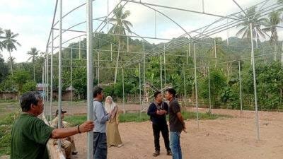 Kontraktor Kena Teguran, Proyek Smart Green House Terancam Putus Kontrak