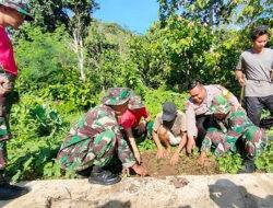 Cegah Bencana Banjir dan Longsor, Kodim 1402 Polman Tanam Ratusan Pohon