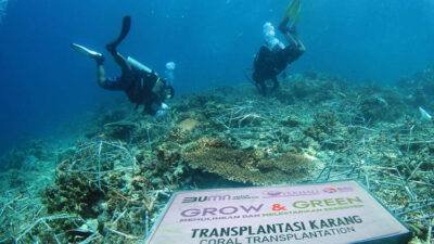 Geliat Kelompok Maratua Lestarikan Terumbu Karang Bersama BRI Peduli