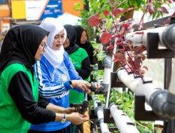 Berkat Program BRInita, Kelompok PKK Rawa Barat Sukses Budidaya Hidroponik dan Ikan Nila