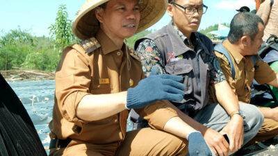 Pemkab Mamasa Dorong Petani Manfaatkan Lahan Pertanian