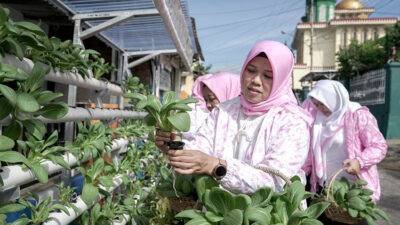 Program BRInita Sulap Lahan Sempit Jadi Urban Farming yang Produktif