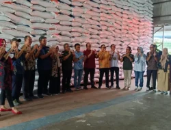 Bulog Mamuju Jamin Stok Beras 1.955 Ton Cukup Lima Bulan Kedepan