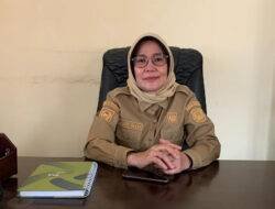 Pengembangan UMKM Butuh Kolaborasi