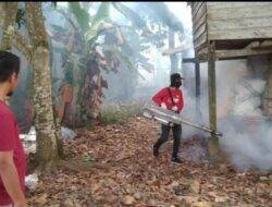 Warga Terjangkit DBD, Lurah Madatte Lakukan Fogging