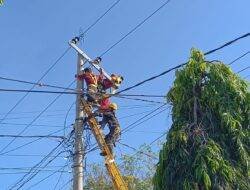 Petugas PLN Nyaris Terjatuh Saat Ganti Jaringan Kabel