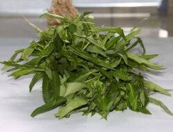 Ternayata Sayur Kangkung Memiliki Sejumlah Khasiat, Ampuh Mencegah Serangan Penyakit Ini