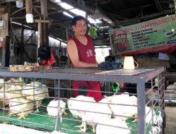 Jelang Pergantian Tahun, Permintaan Ayam Meningkat