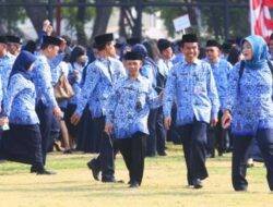Dipastikan Hanya 25% Honorer Lulus PPPK 2024, Mayoritas Paruh Waktu