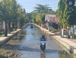 Drainase Tersumbat Sampah Picu Banjir Ruas Jalan Pekkabata dan Polewali