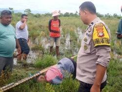 Warga Desa Kurma Dihebohkan Penemuan Mayat di Areal Persawahan