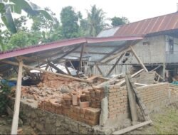 Pohon Tumbang Timpa Dua Rumah, Seorang Lansia di Segerang Mapilli Tewas
