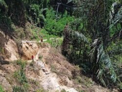 Bencana Longsor di Sumarrang, Pemkab Polman Tetapkan Status Darurat Bencana