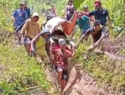 Ironi Warga Desa Batu Makkada Kalumpang Sakit Keras Ditandu Sejauh 17 Kilometer untuk Mendapat Layanan Kesehatan