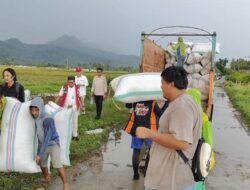 Bulog Polman Genjot Penyerapan Gabah, Hingga April Sudah 11 Ton Gabah Petani Diserap