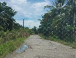 Bertahun-tahun Jalan Poros Kalonding Rusak Parah: Warga Merana, Hasil Bumi Tak Terjual