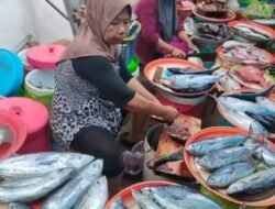 Dipicu Cuaca Buruk Pasca Lebaran, Harga Ikan Melonjak Naik