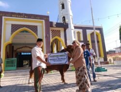 Sebanyak 1.495 Hewan Kurban Disembelih di Polman saat Idul Adha 1446 Hijriah