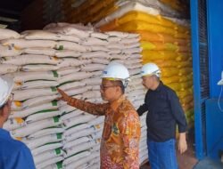 Jaga Stabilitas Pasokan dan Harga Beras, Pekan Depan Bulog Polman Salurkan Beras SPHP